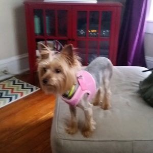 Meet your Posher, Juan